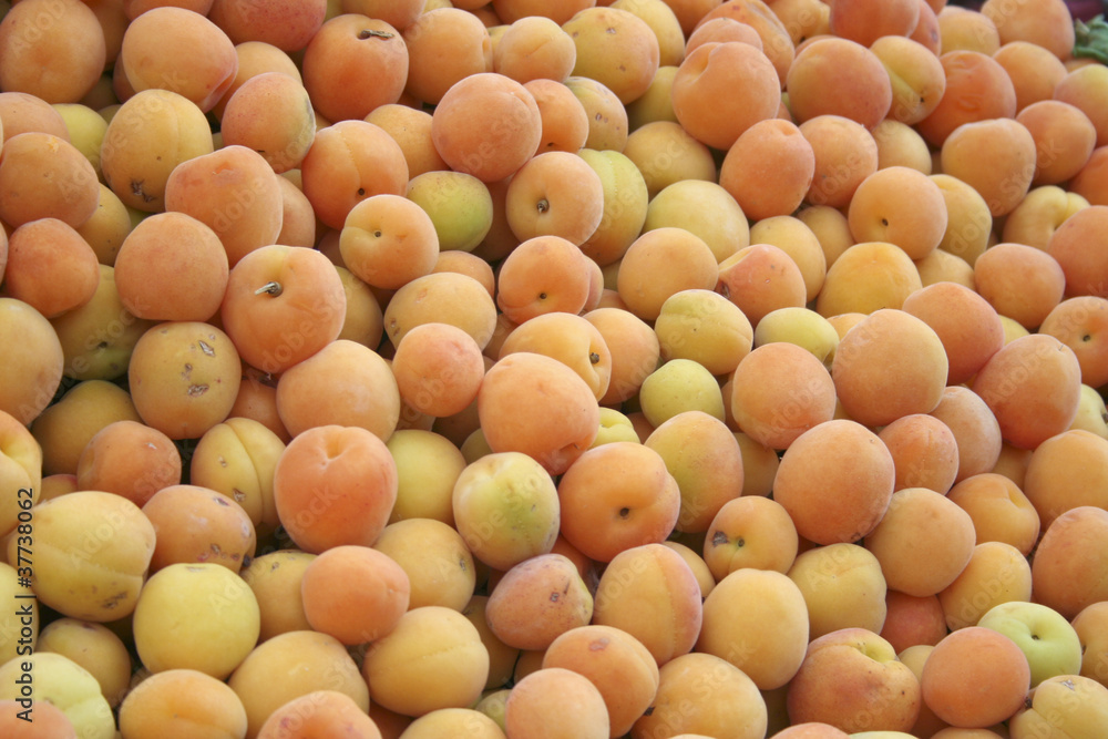 apricot at the market apricot at the market