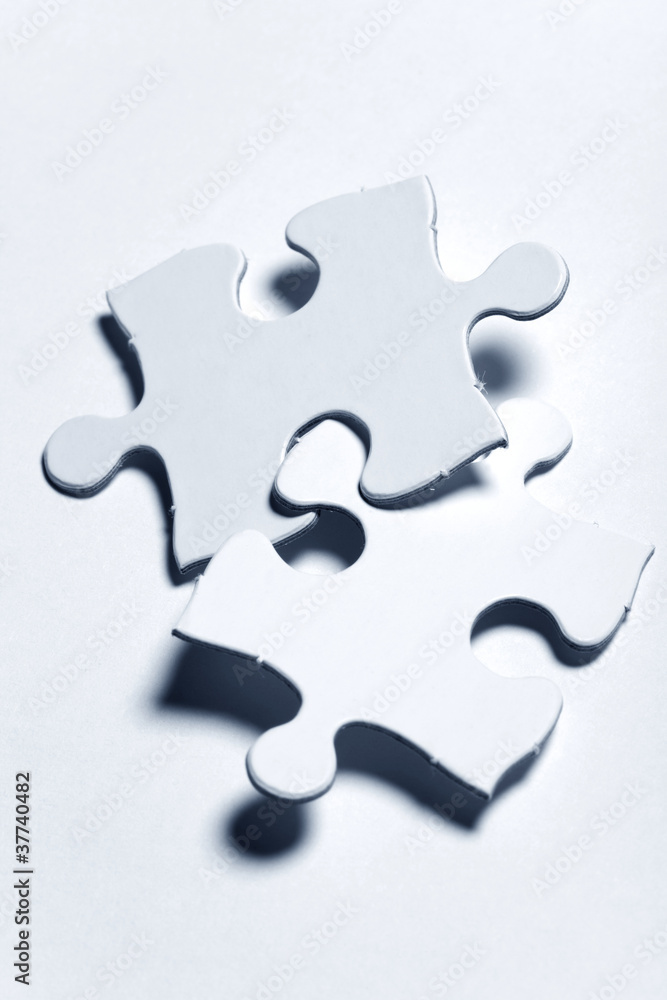 Obraz premium Blank Puzzle