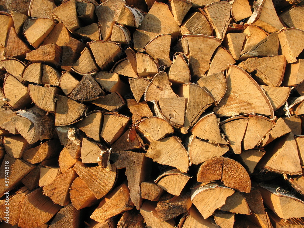 Background: pile of wood, illuminated by the setting sun Background: pile of wood, illuminated by the setting sun