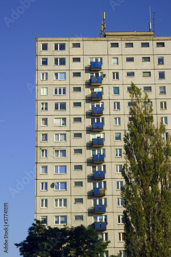 drzewo i fasada wieżowca mieszkalnego, Poznań
