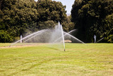 Luxury garden: irrigation