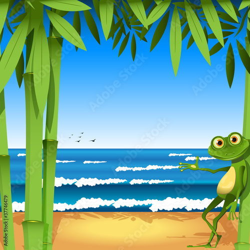 frog on sandy to seacoast