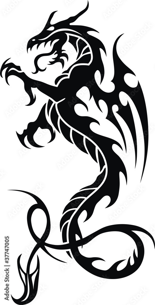 Fototapeta premium Dragon