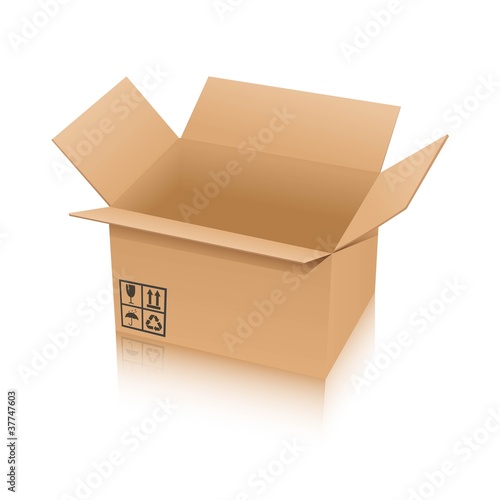 ベクター、開けた段ボール箱
