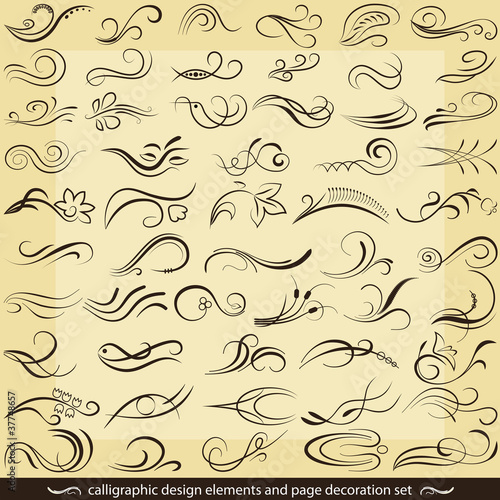 calligraphic design elements and page decoration set