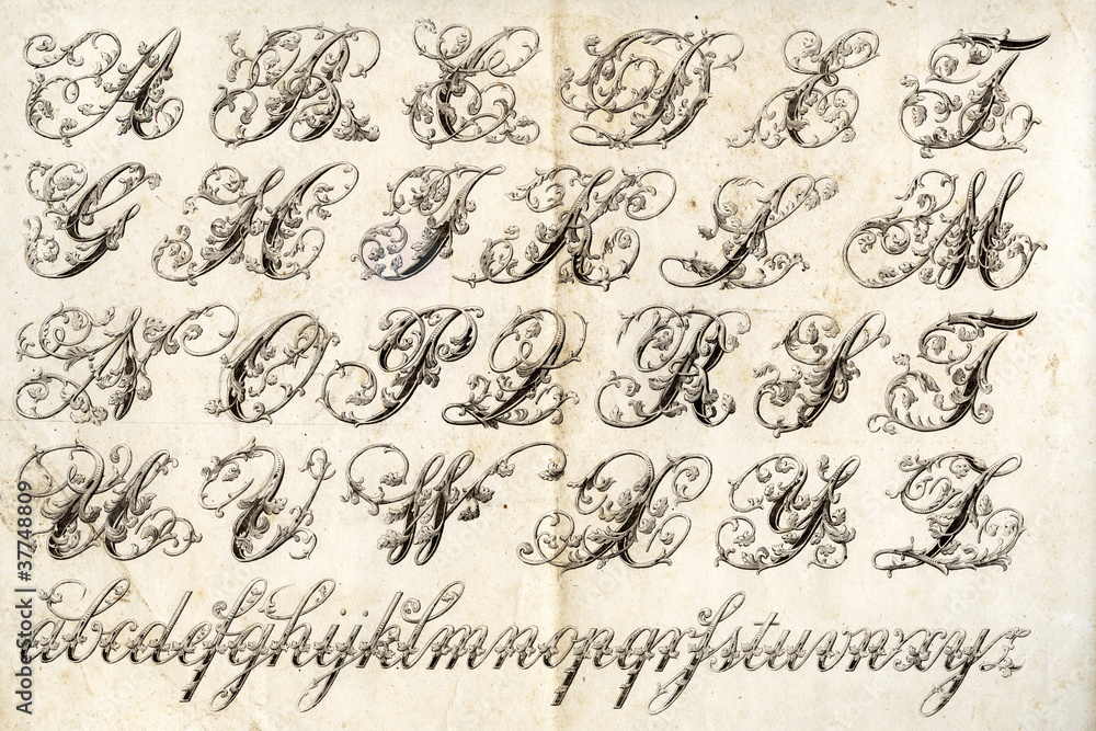 alphabet alphabet