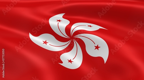 Hong Konger flag in the wind photo