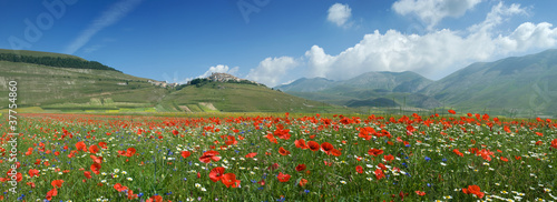 Castelluccio  Panoramica 40 / 110