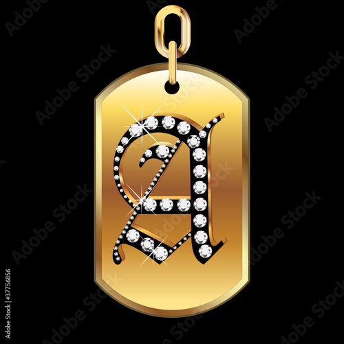A medal in gold and diamonds vector