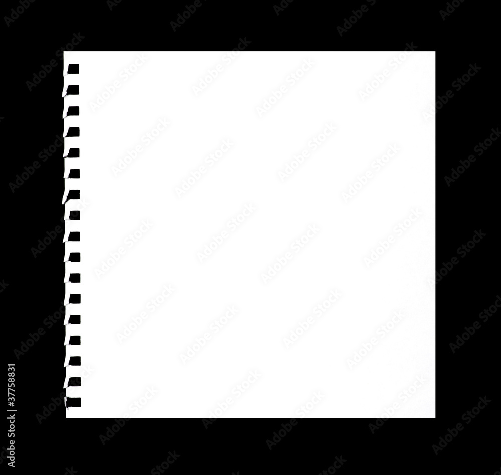 white paper white paper