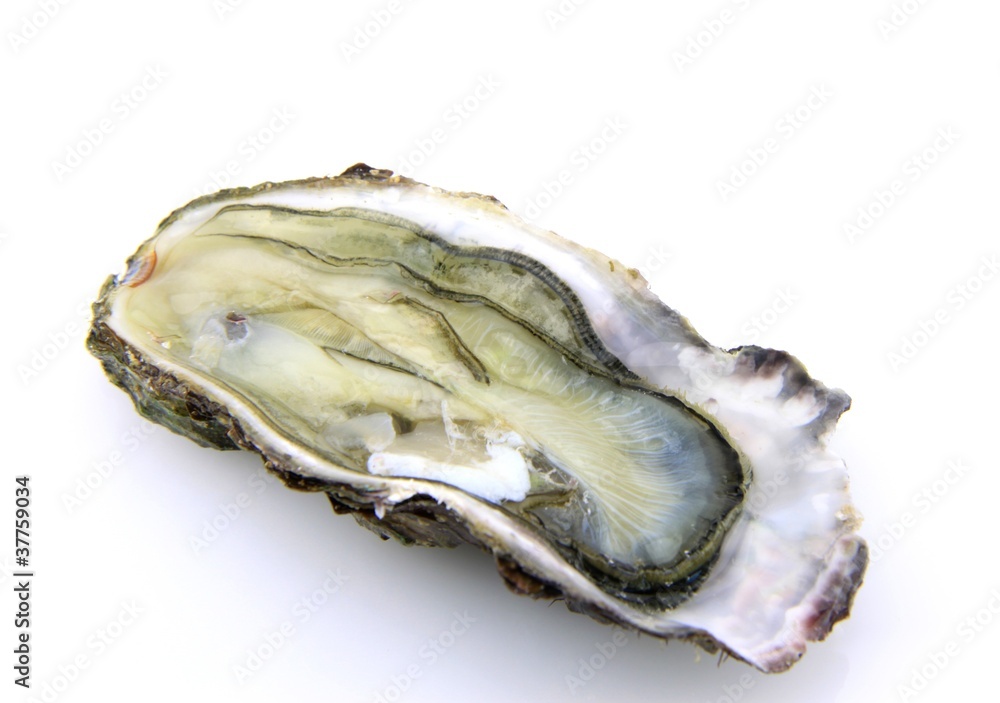 Naklejka premium huître ouverte sur fond blanc
