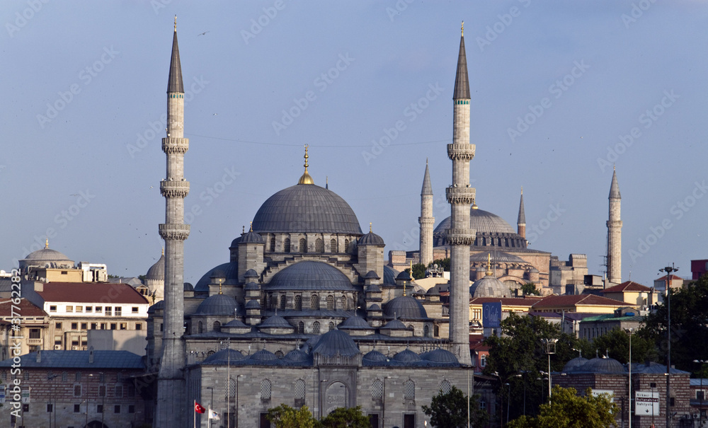 Fototapeta premium Blue mosque and Hagia Sofia, Istanbul, Turkey