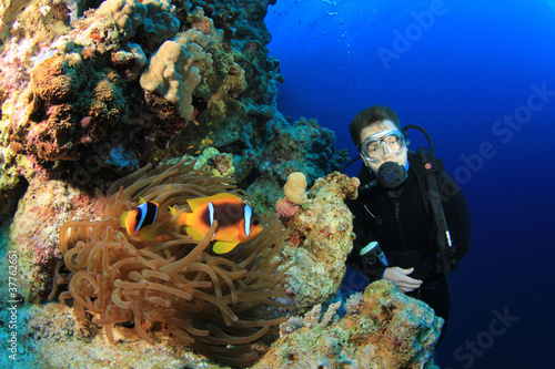 Clownfishes and Scuba Diver