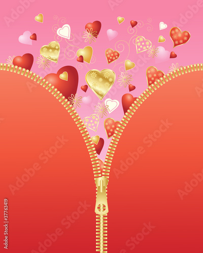 valentine zipper