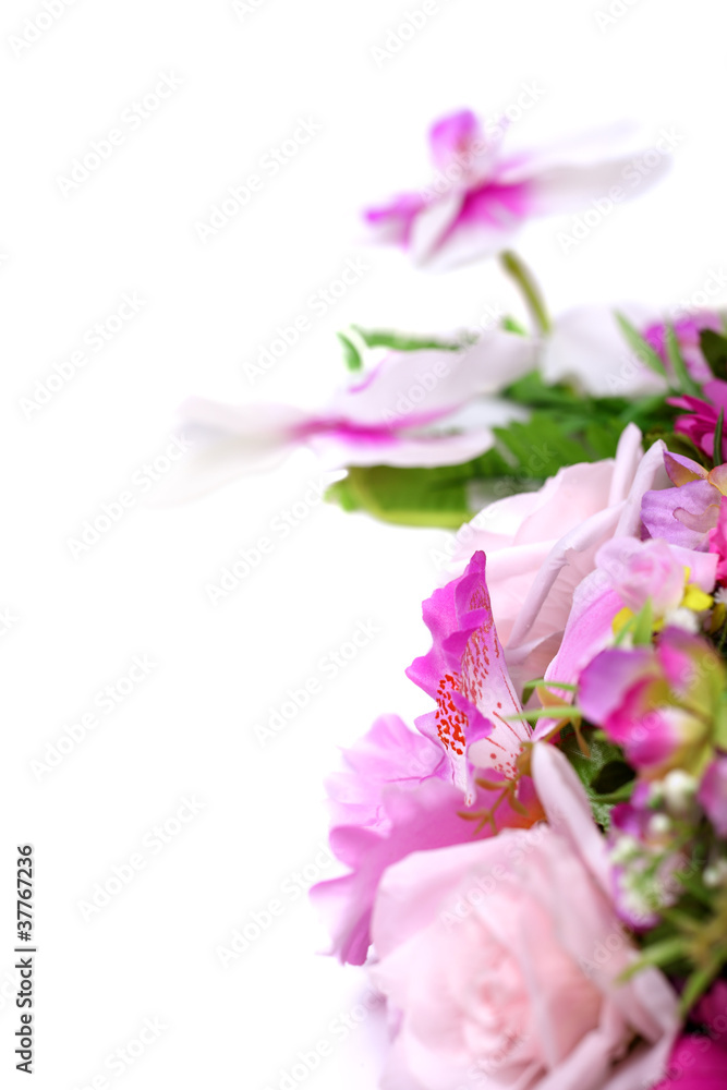 White with purple orchid and decorative leafs isolated on white White with purple orchid and decorative leafs isolated on white