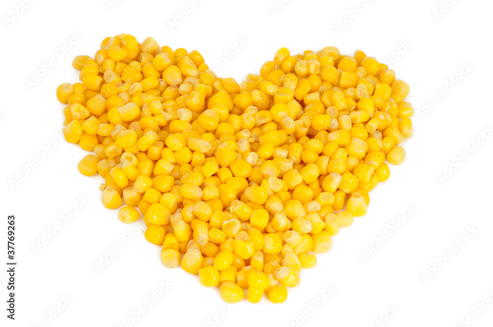 canned corn isolated canned corn isolated