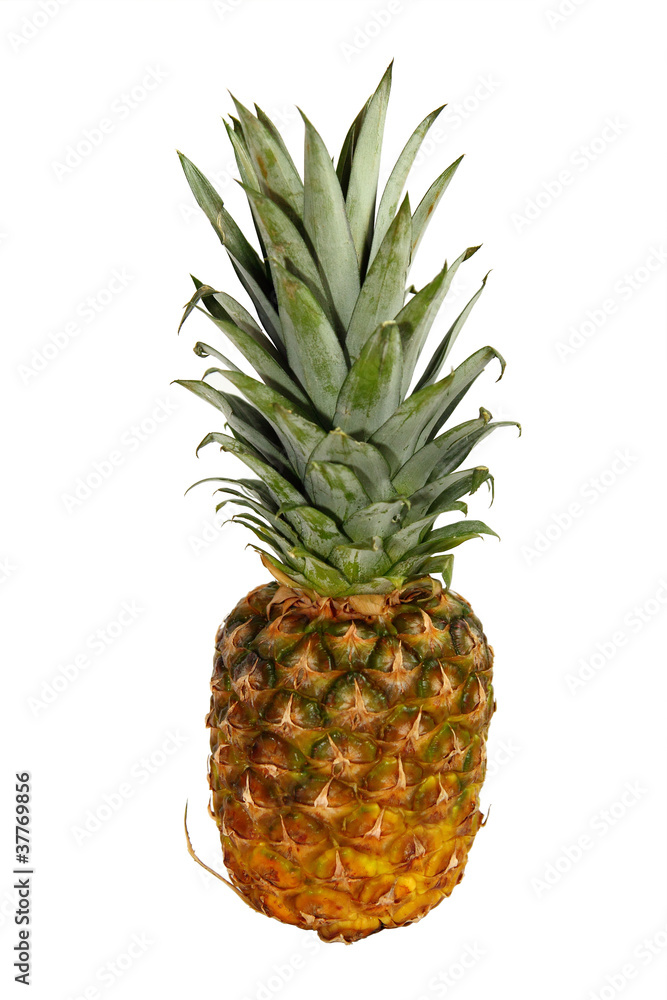 pineapple isolated on white background pineapple isolated on white background