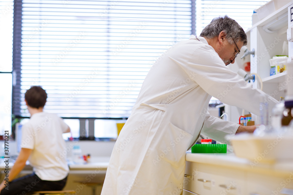 Fototapeta premium senior male researcher carrying out scientific research in a lab