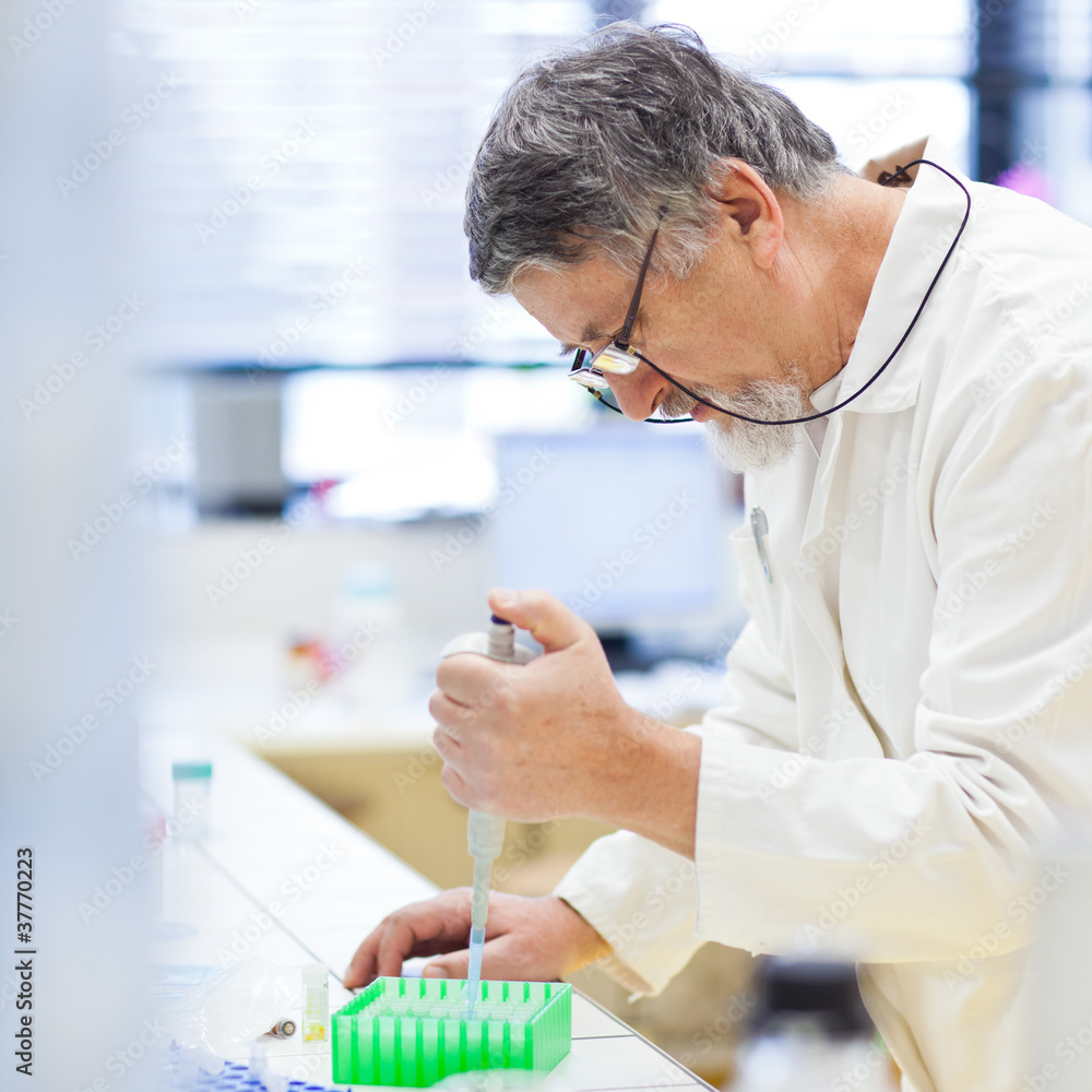 senior male researcher carrying out scientific research in a lab senior male researcher carrying out scientific research in a lab