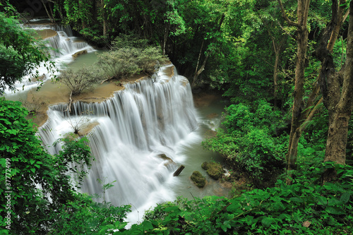 Rain forest waterfall