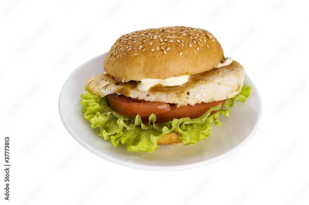 chicken burger chicken burger