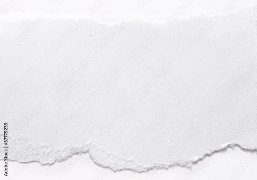 A piece of paper on white A piece of paper on white