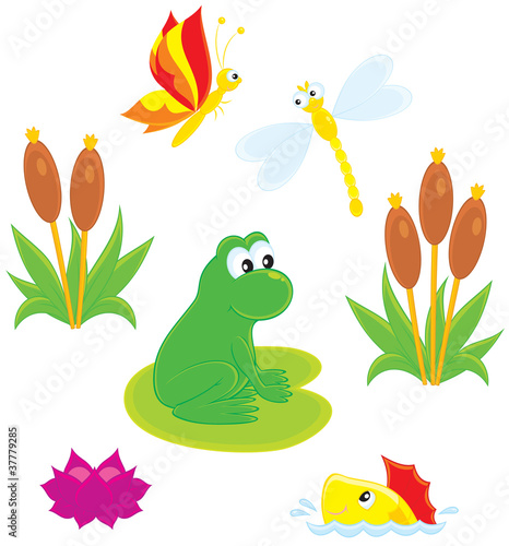 frog, dragonfly, butterfly, fish, water lily and cane