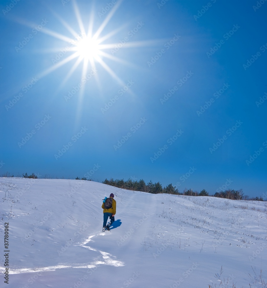 traveler in a winter plain