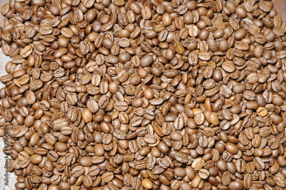 Kaffeebohnen Kaffeebohnen