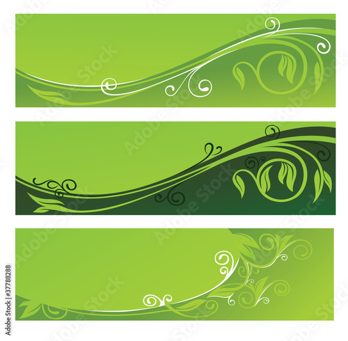 vector collection of eco headers