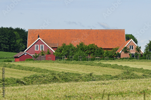Farm in the south of Sweden