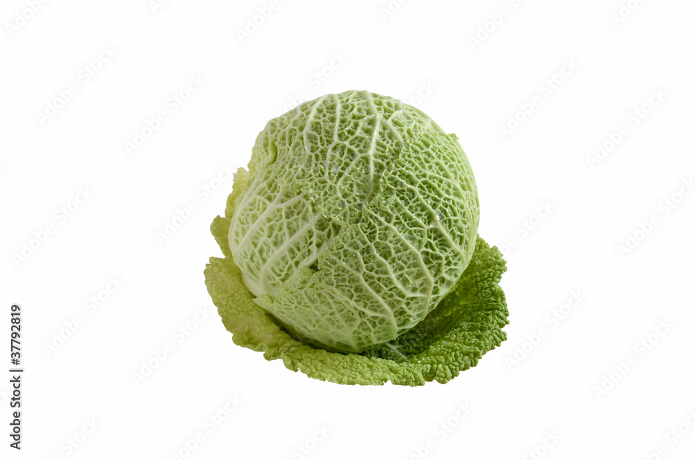 fresh savoy cabbage head isolated on a white background fresh savoy cabbage head isolated on a white background