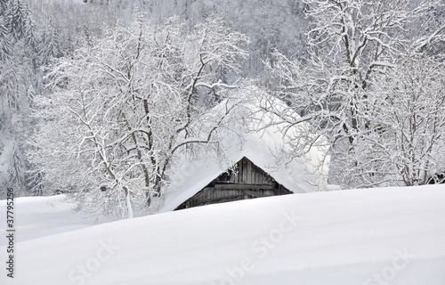 chalet niché dans la neige