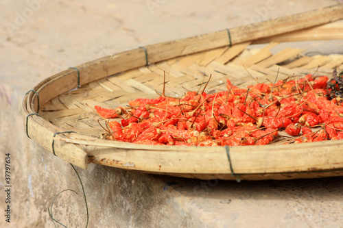 Trockende Paprika photo