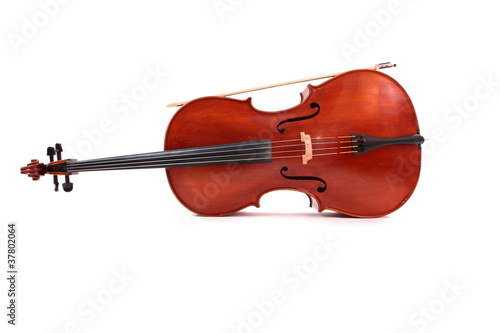 violoncelle - cello - couché