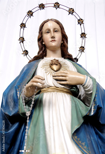 Konstfotografi Statue Immaculate Heart of Mary
