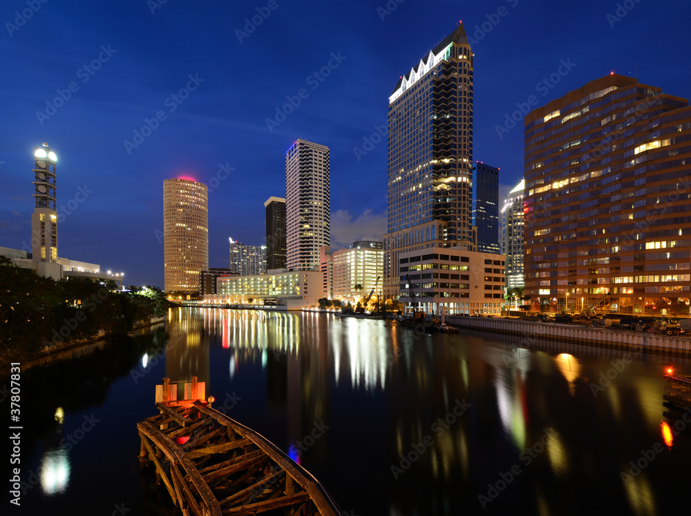 Naklejka premium Tampa Skyline