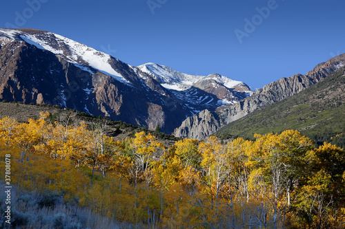 Mountains and Aspens