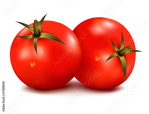 Two fresh tomatoes. Vector illustration.
