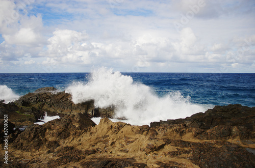 Waves breaking on the rocks © shambelle