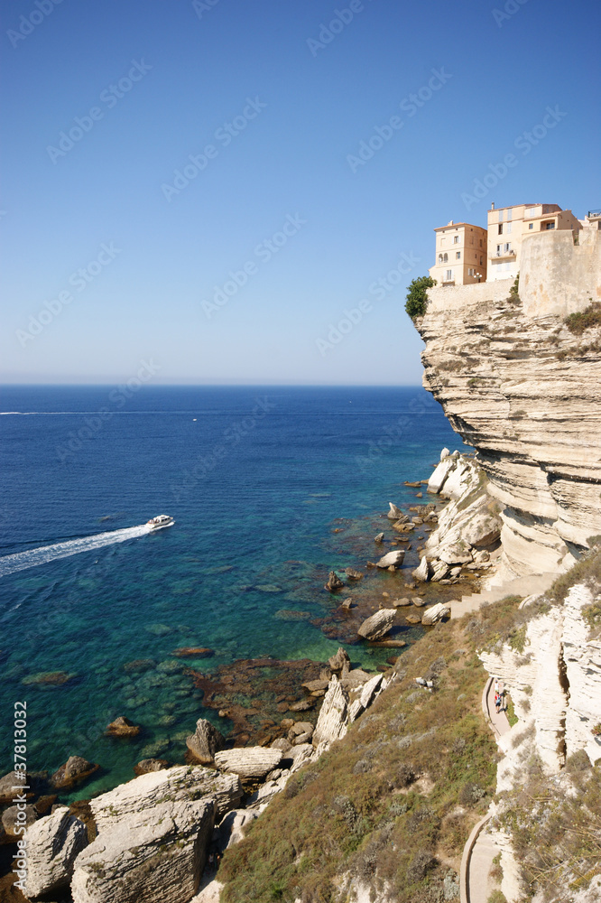 Bonifacio Bonifacio