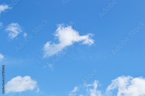 Deer blue sky and clouds