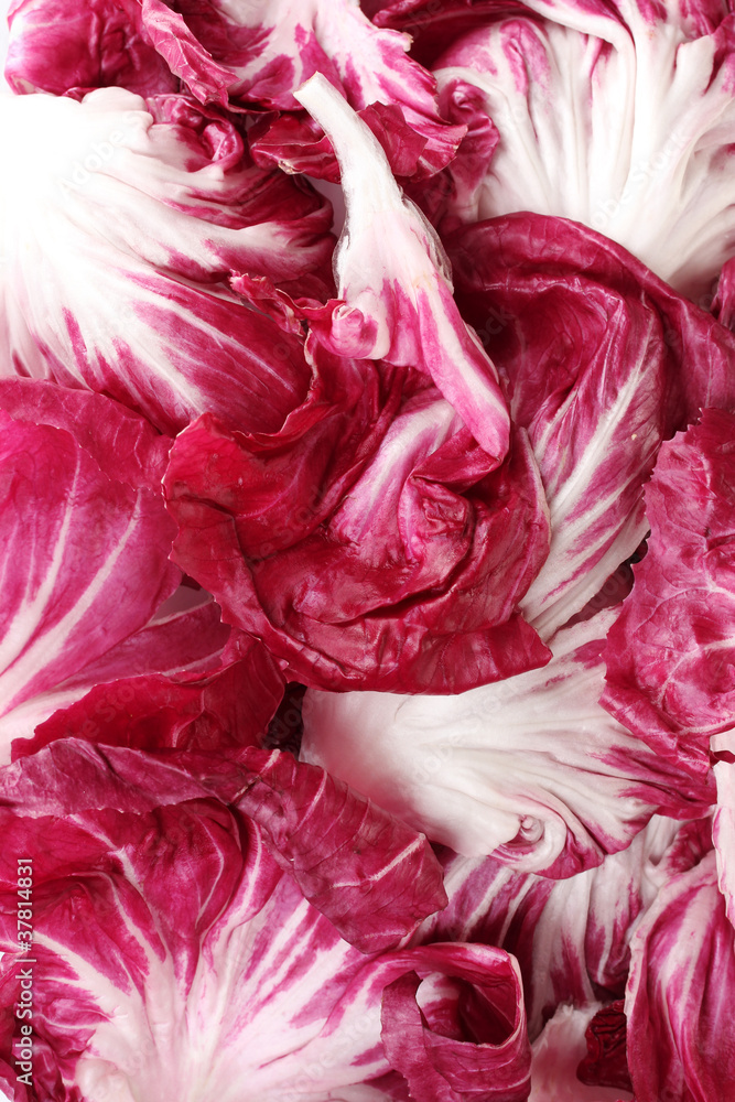 Red cabbage leaves closeup Red cabbage leaves closeup