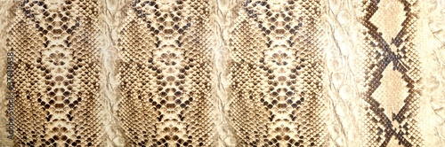 Snake skin, reptile