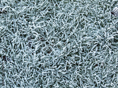 Gras mit Rauhreif, winterlicher Hintergrund