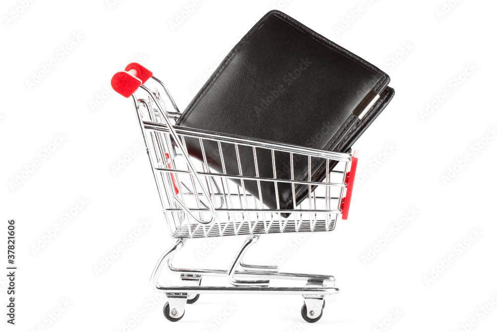 Shopping cart and purse