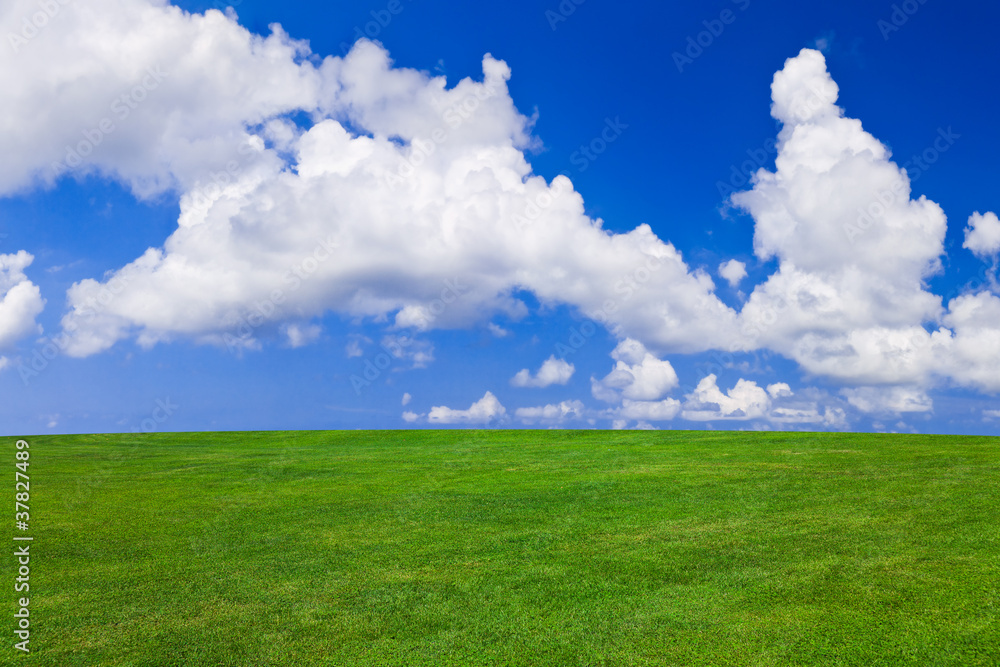Grass and cloudy sky Grass and cloudy sky