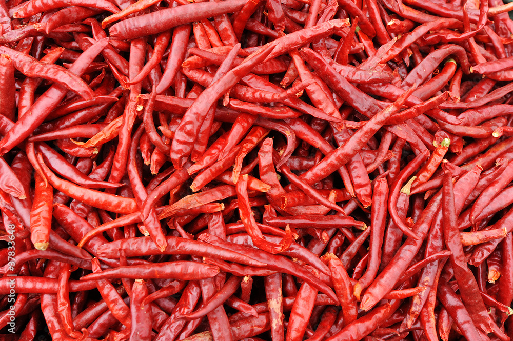 Dried red chili peppers