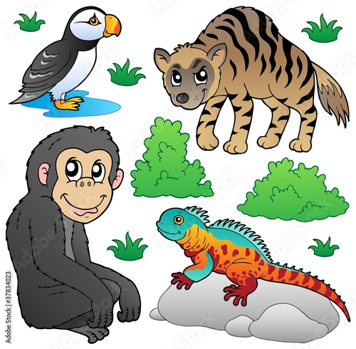Zoo animals set 2