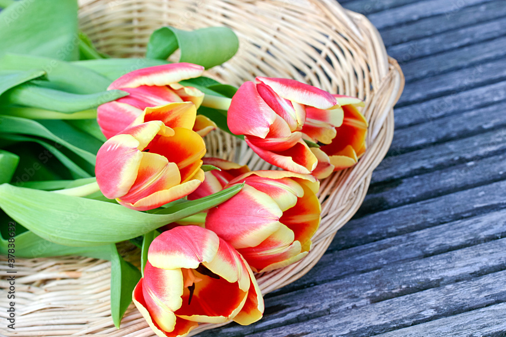 Tulpen im Korb Stock Photo | Adobe Stock